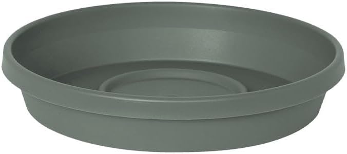 Bloem Terra Resin Saucer Tray: 4.75" Bottom Width - Basil Green - Matte, Durable, Ribbed Bottom, Indoor and Outdoor, Fits 6" Terra Pots by Bloem
