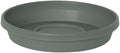Bloem Terra Resin Saucer Tray: 4.75" Bottom Width - Basil Green - Matte, Durable, Ribbed Bottom, Indoor and Outdoor, Fits 6" Terra Pots by Bloem