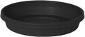 Bloem Terra Resin Saucer Tray: 4.75" Bottom Width - Black - Matte, Durable, Ribbed Bottom, Indoor and Outdoor, Fits 6" Terra Pots by Bloem
