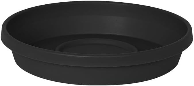 Bloem Terra Resin Saucer Tray: 4.75" Bottom Width - Black - Matte, Durable, Ribbed Bottom, Indoor and Outdoor, Fits 6" Terra Pots by Bloem