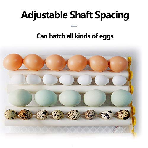 Egg Incubator - Egg Incubator with Automatic Egg Turning and Humidity Control,Large Poultry Hatcher for Chickens Birds Ducks (176 Eggs) - Image 6