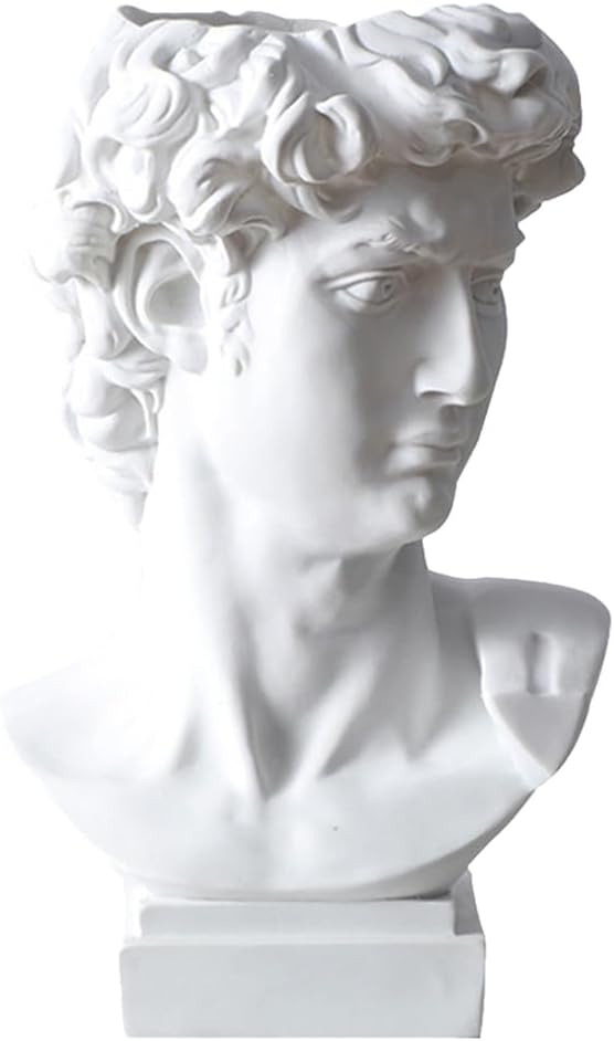 DOITOOL Greek Statue of David Collectible Figurine Cute Vase Vases for Decor Face Flower Dried Flower Vase Decorative Planter Greece Ornaments White Resin by DOITOOL