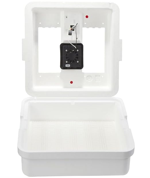Little Giant® Digital Still Air Incubator | 41 Egg Capacity | Chick Egg Hatching Incubator with Temperature and Humidity Control | Made in USA by LittleGiant%C2%AE