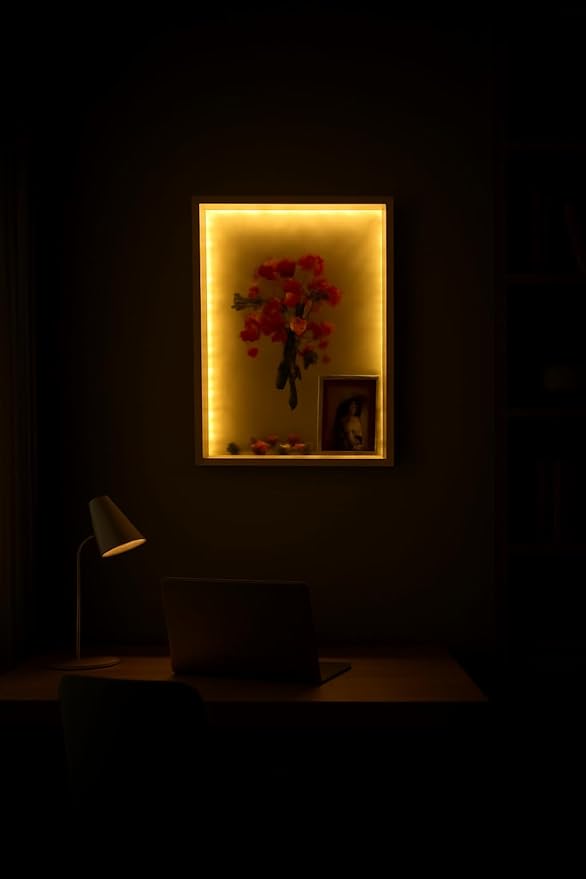 Shadow Box with LED Light for Dried Flowers, Changeable Picture Display & Storage, Frame Wall-mounted & Tabletop Art Display Shadow Box Frame (Light Red) - Image 4