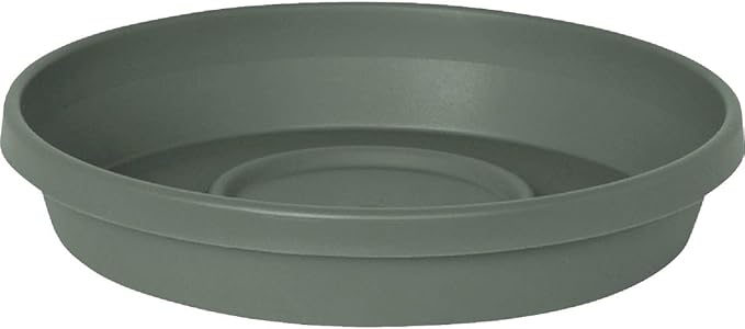Bloem Terra Resin Saucer Tray: 8" Bottom Width - Basil Green - Matte, Durable, Ribbed Bottom, Indoor and Outdoor, Fits 10" Terra Pots by Bloem