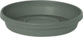 Bloem Terra Resin Saucer Tray: 8" Bottom Width - Basil Green - Matte, Durable, Ribbed Bottom, Indoor and Outdoor, Fits 10" Terra Pots by Bloem