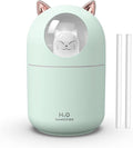 Portable 300ml Mini Cool Mist Humidifier With Night Light, USB Auto Shut-Off, Ultra-Quiet, 2 Spray Modes for Home Office Travel (Green) by Dgffan