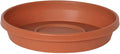 Bloem Terra Resin Saucer Tray: 4.75" Bottom Width - Terra Cotta - Matte, Durable, Ribbed Bottom, Indoor and Outdoor, Fits 6" Terra Pots by Bloem