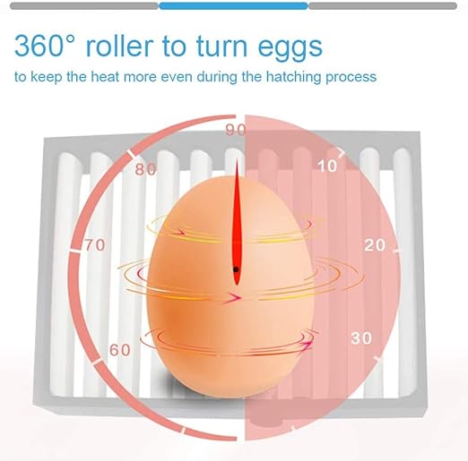 Egg Incubator,Egg Incubator with Automatic Egg Turning and Humidity Control,Poultry Hatcher for Chickens Ducks Birds (56 Eggs) - Image 4