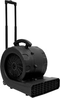 1HP Air Mover, 6-Hours Timer Carpet Dryer, Floor Drying Fan with 3 Speeds/3 Adjustable Angles/16.4 Ft Power Cord, 2300 CFM, Black by WENBINGSHOP