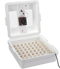 Little Giant® Digital Circulated Air Incubator with Automatic Turner | 41 Egg Capacity | Chick Egg Hatching Incubator with Fan and Egg Turner | Made in USA by LittleGiant%C2%AE