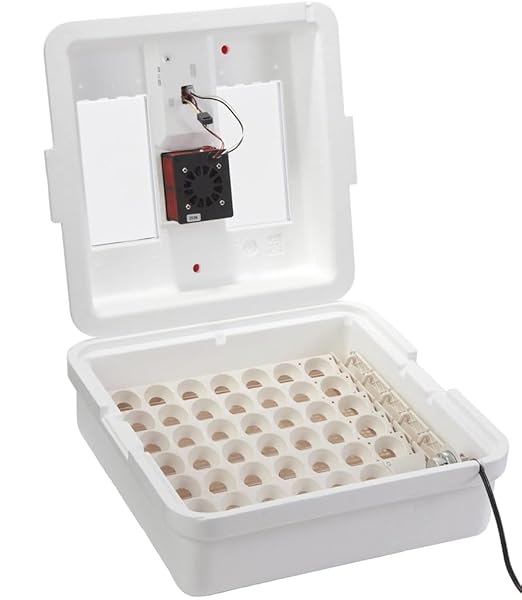 Little Giant® Digital Circulated Air Incubator with Automatic Turner | 41 Egg Capacity | Chick Egg Hatching Incubator with Fan and Egg Turner | Made in USA by LittleGiant%C2%AE