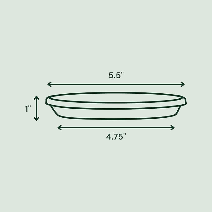 Bloem Terra Resin Saucer Tray: 4.75" Bottom Width - Basil Green - Matte, Durable, Ribbed Bottom, Indoor and Outdoor, Fits 6" Terra Pots - Image 2