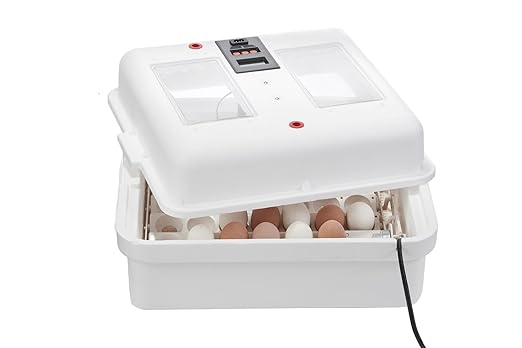 Little Giant® Digital Circulated Air Incubator with Automatic Turner | 41 Egg Capacity | Chick Egg Hatching Incubator with Fan and Egg Turner | Made in USA - Image 3