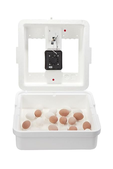 Little Giant® Digital Circulated Air Incubator | 41 Eggs | Egg Incubator with Fan, Temperature and Humidity Control | Hatching Eggs - Image 6