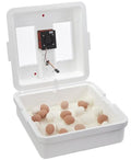 Little Giant® UL Circulated Air Incubator with Automatic Turner | Fits 41 Large Eggs | Chick Egg Hatching Incubator with Fan and Temperature and Humidity Control | Made in USA by LittleGiant%C2%AE
