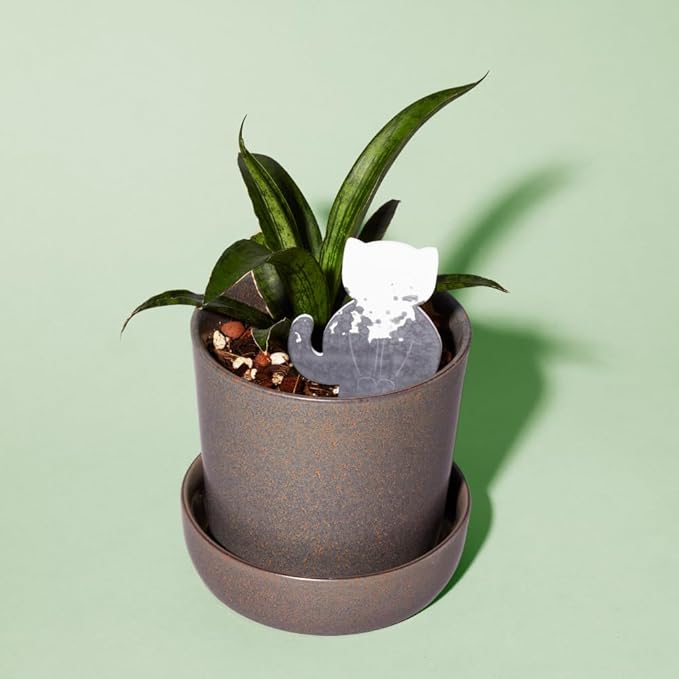 Biodegradable Soil Moisture Meter, Visual Reminder to Water Your Indoor Plants - Tool to fIx overwatering and Under-Watering houseplants (Kitty PlantDoc - 5 Pack) by Unknown