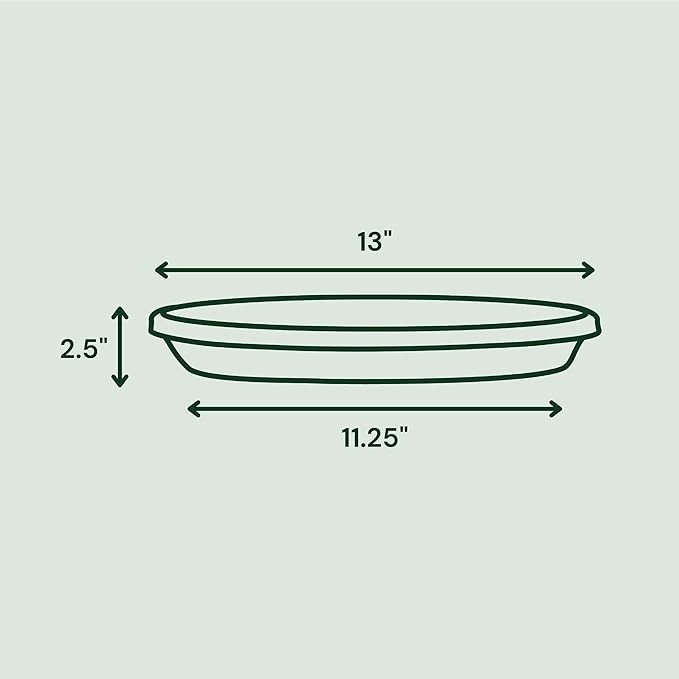 Bloem Terra Resin Saucer Tray: 11.25" Bottom Width - Matte, Durable, Ribbed Bottom, Indoor and Outdoor, Fits 14" Terra Pots, Living Green - Image 2