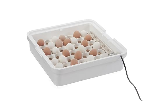 Little Giant® Digital Circulated Air Incubator with Automatic Turner | 41 Egg Capacity | Chick Egg Hatching Incubator with Fan and Egg Turner | Made in USA - Image 5