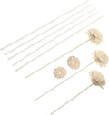 Diffuser Sticks Natural Reeds for Home Fragrance Relaxation for Spa Bathroom and Meditation by levemolo