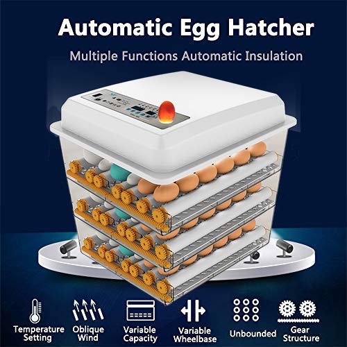 Egg Incubator - Egg Incubator with Automatic Egg Turning and Humidity Control,Large Poultry Hatcher for Chickens Birds Ducks (176 Eggs) - Image 4