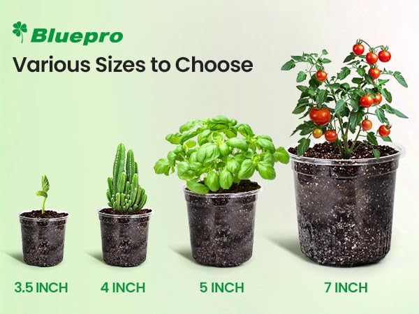 30 Packs 7/5/4 Inch Reinforced Clear Nursery Pots with Drainage Hole, Transparent Variety Pack Plastic Plant Pot Seedling Planter for Vegetable Propagation, Root Cutting, Seed Starting - Image 6