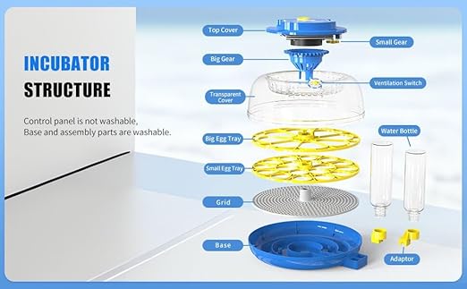 incubators for hatching eggs，18 Egg Incubator,egg incubator with automatic egg turning and humidity control，incubator for chicken eggs，chicken incubators for hatching eggs，quail egg incubator - Image 8