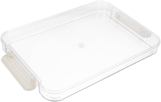 Hemoton A4 File Organizer Box Small without Lid, Card Storage Box for Documents and Certificates, Portable File Case for Office and Travel Storage by HEMOTON