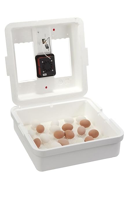Little Giant® Digital Still Air Incubator | 41 Egg Capacity | Chick Egg Hatching Incubator with Temperature and Humidity Control | Made in USA - Image 6