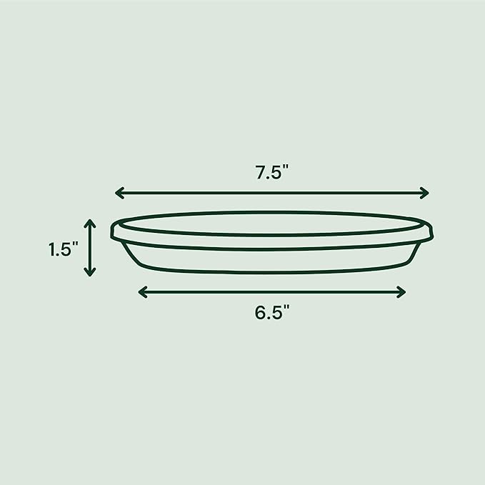 Bloem Terra Resin Saucer Tray: 6.5" Bottom Width - Navy Blue - Matte, Durable, Ribbed Bottom, Indoor and Outdoor, Fits 8" Terra Pots - Image 2