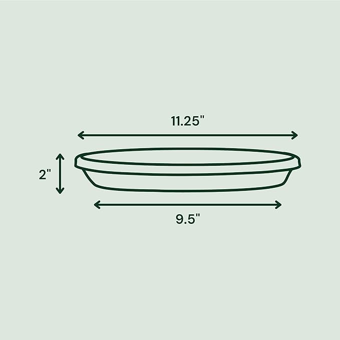 Bloem Terra Resin Saucer Tray: 9.25" Bottom Width - Vanilla Bean - Matte, Durable, Ribbed Bottom, Indoor and Outdoor, Fits 12" Terra Pots - Image 3