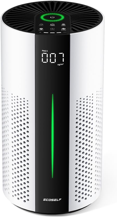 Air Purifiers for Home Large Room up to 1800 Ft², Air Purifiers for Bedroom 360° Air Intake with Smart Auto Mode, HEPA Air Purifier, Air Cleaner for Smoke PoIIen Pet Dander, HAP609 by ECOSELF