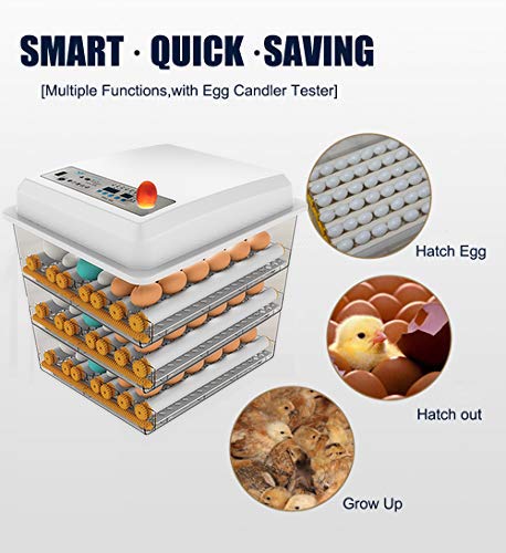 Egg Incubator - Egg Incubator with Automatic Egg Turning and Humidity Control,Large Poultry Hatcher for Chickens Birds Ducks (176 Eggs) - Image 3
