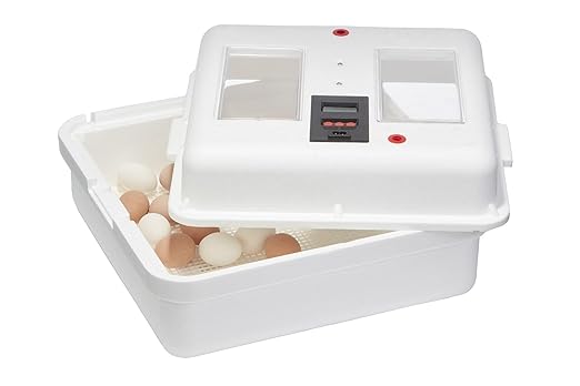 Little Giant® Digital Still Air Incubator | 41 Egg Capacity | Chick Egg Hatching Incubator with Temperature and Humidity Control | Made in USA - Image 5