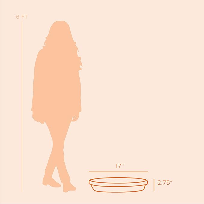 Bloem Terra Resin Saucer Tray: 15" Bottom Width - Terra Cotta - Matte, Durable, Ribbed Bottom, Indoor and Outdoor, Fits 20" Terra Pots - Image 7