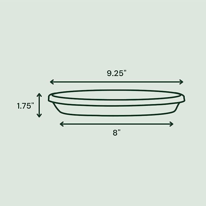 Bloem Terra Resin Saucer Tray: 8" Bottom Width - Matte, Durable, Ribbed Bottom, Indoor and Outdoor, Fits 10" Terra Pots, Living Green - Image 3