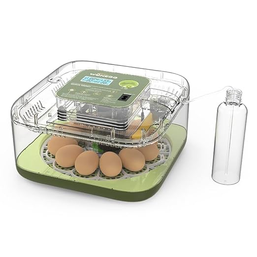 12 Egg Incubator for Hatching Eggs with Automatic Turning, Temperature & Humidity Display, Egg Candler, and Hatch Day Alert - Ideal for Chicken, Duck, and Quail Eggs by Unknown