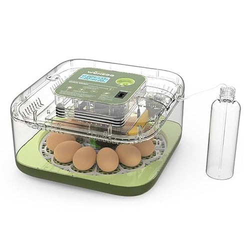 12 Egg Incubator for Hatching Eggs with Automatic Turning, Temperature & Humidity Display, Egg Candler, and Hatch Day Alert - Ideal for Chicken, Duck, and Quail Eggs by Unknown