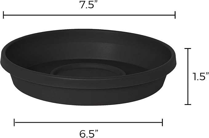 Bloem Terra Resin Saucer Tray: 6.5" Bottom Width - Black - Matte, Durable, Ribbed Bottom, Indoor and Outdoor, Fits 8" Terra Pots - Image 5