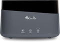 LivePure LP300HUM Aqua Flame Cool Mist Humidifier – Small Ultrasonic Plant Humidifier Indoor with Essential Oil Diffuser – Dorm Essentials, Apartment, Desks & Home Office Graphite - 0.20 Gal/ .75L by LivePure