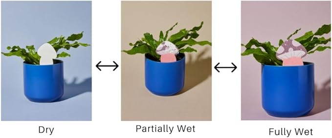 Biodegradable Soil Moisture Meter, Visual Reminder to Water Your Indoor Plants - Tool to fIx overwatering and Under-Watering houseplants (Kitty PlantDoc - 5 Pack) - Image 3