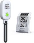 RAINPOINT Light-Driven Thermo-Hygrometer & Smart Digital Wireless Soil Moisture Meter (WiFi Hub Needed) Kit, Real-time Monitor Sensor Gardening Plant Care Essentials by RainPoint