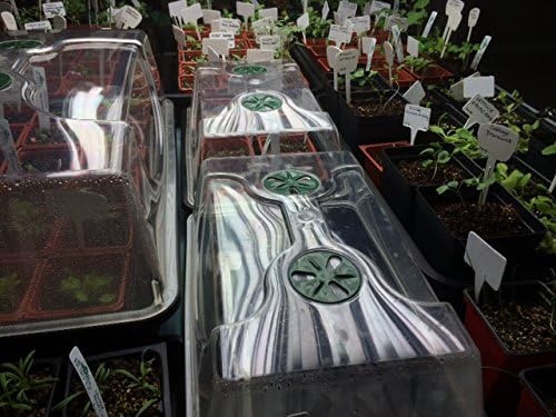 EarlyGrow 70738 Medium Domed Propagator, 15" x 9" x 7", Black/Dark Green - Image 3