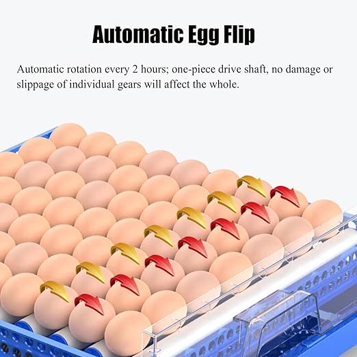 Eggs Incubator for Hatching Eggs, Automatic Egg Turning and Humidity Control, Automatic Water Adding, Egg Candler, Poultry Egg Incubators for Chicken Duck Goose Pigeon Quail (Blue, 128 Eggs) - Image 3