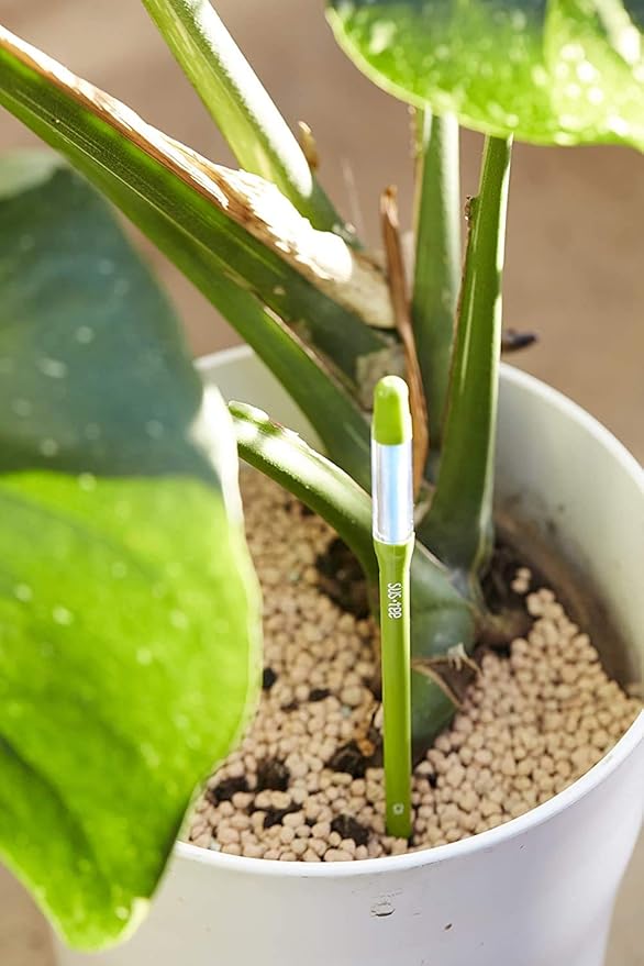 Sustee Aquameter, Set of 5, Plant Soil Moisture Sensor (Green, Large) - Image 7