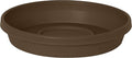 Bloem Terra Resin Saucer Tray: 6.5" Bottom Width - Chocolate Brown - Matte, Durable, Ribbed Bottom, Indoor and Outdoor, Fits 8" Terra Pots by Bloem