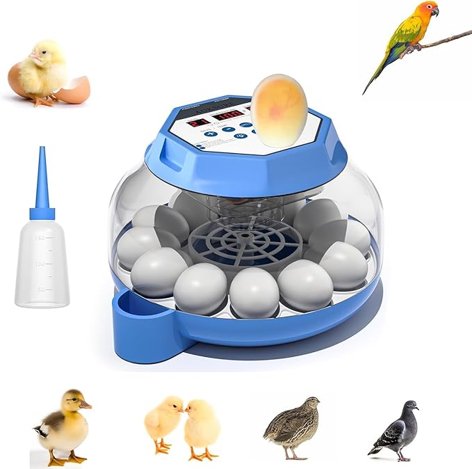 Incubator for Hatching Eggs12-24 Egg Capacity, Automatic Egg Turner, Temperature & Humidity Control, 360° Viewing for Chicken, Duck and Quail Eggs, Birds (E12 New) by AOKSURE