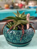 Cute Ceramic Soil Moisture Indicator for Houseplants – Temperature-Sensitive Color Change Worm – Garden Decor for Indoor Pots, Gift for Labor Day by Unknown