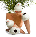 Bird Shaped Plant Watering Globes(4ps) Plants Suitable for Indoor and Outdoor Use Should be Kept Constantly Moist. The Interesting Shape Makes The Garden More Interesting and Beautiful. by YFDB