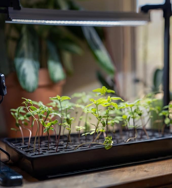SunBlaster Seed Starting Growing Herbs Kit SL1611208 Grow Light, Stand, Tray, Dome, Heat Mat Timer & Plugs - Image 3